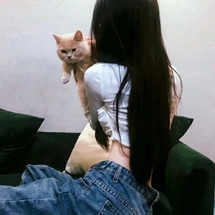 高速公路杀手